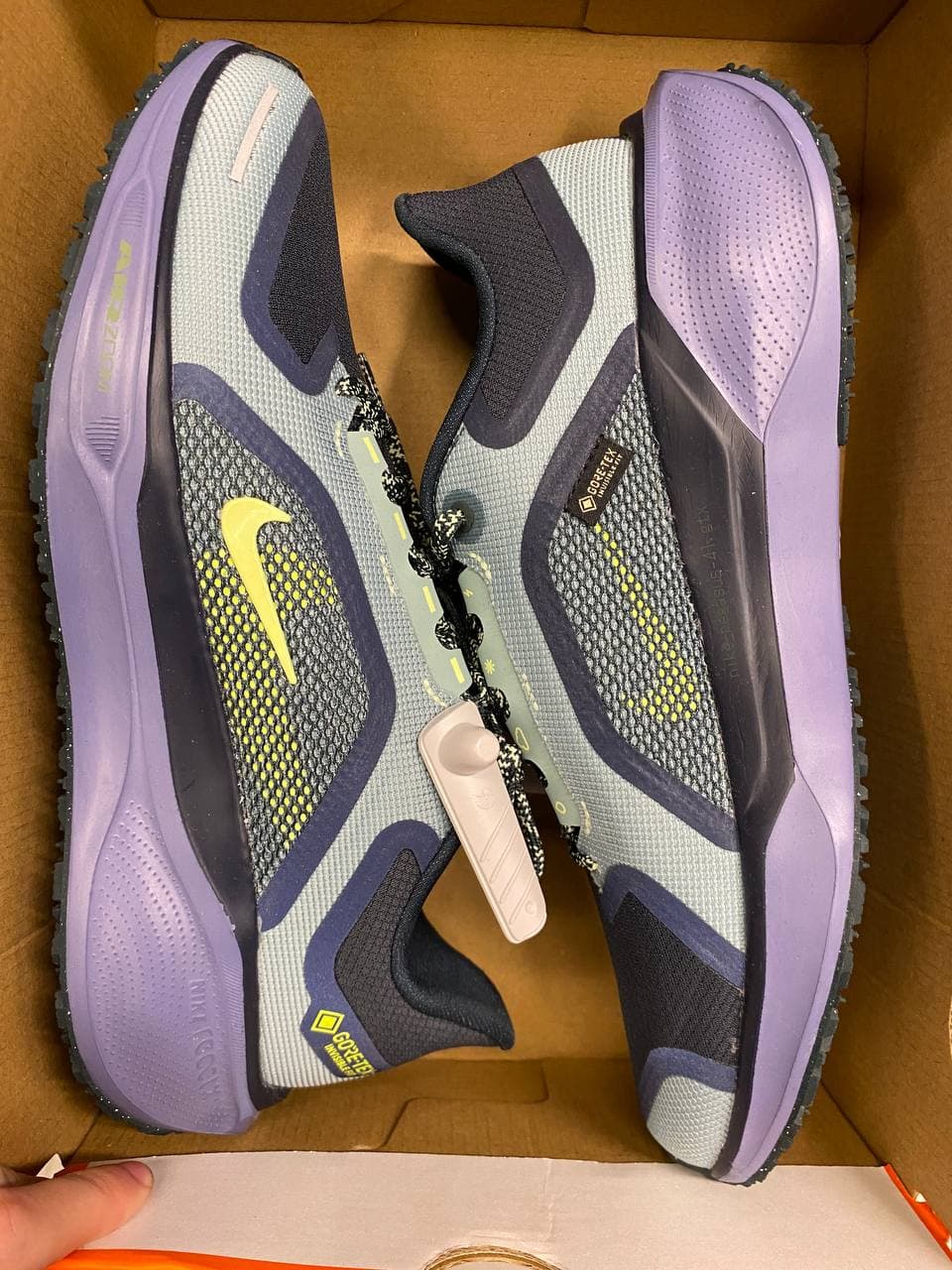 Pegasus 41 gore Tex