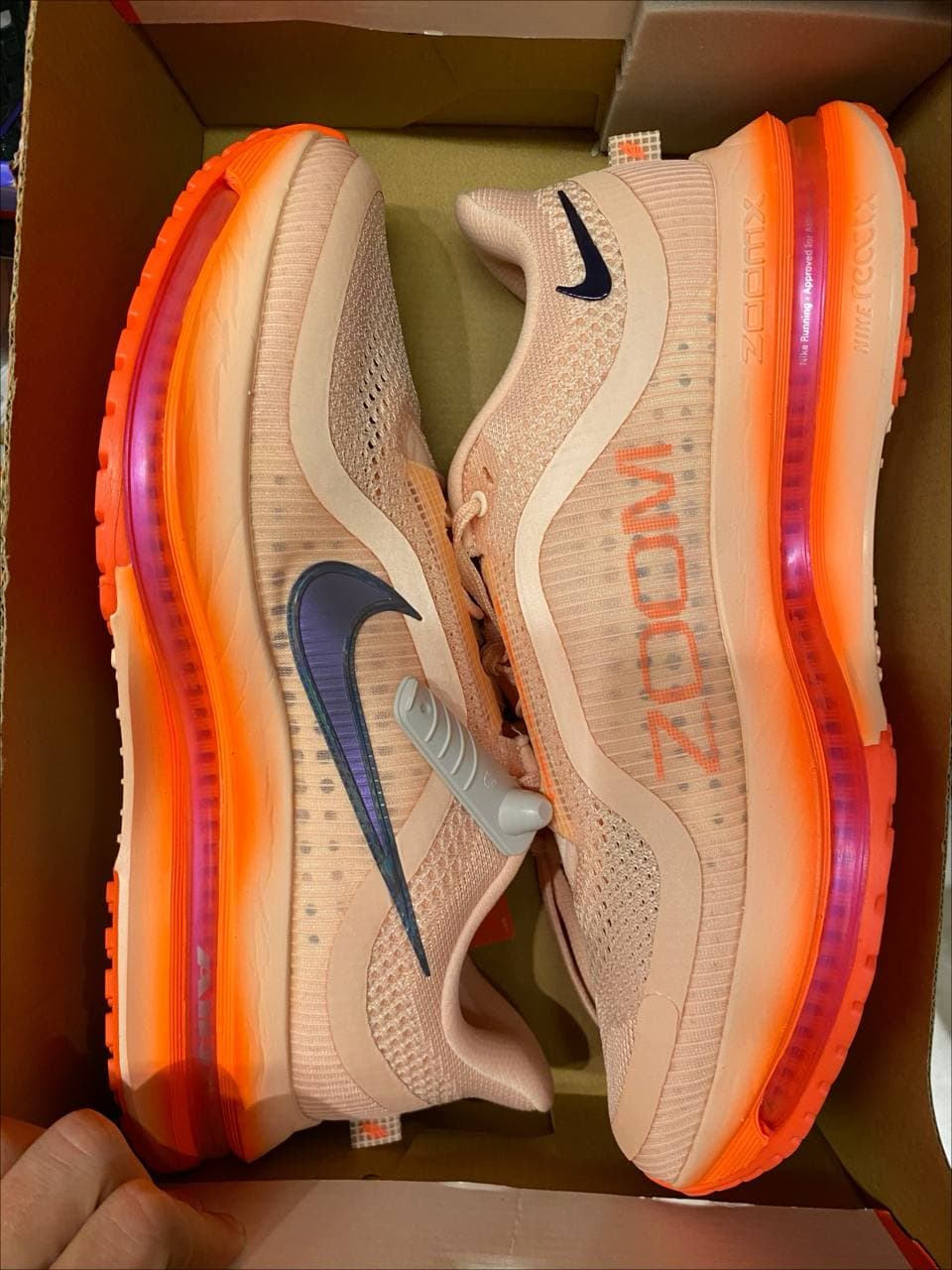 Pegasus premium