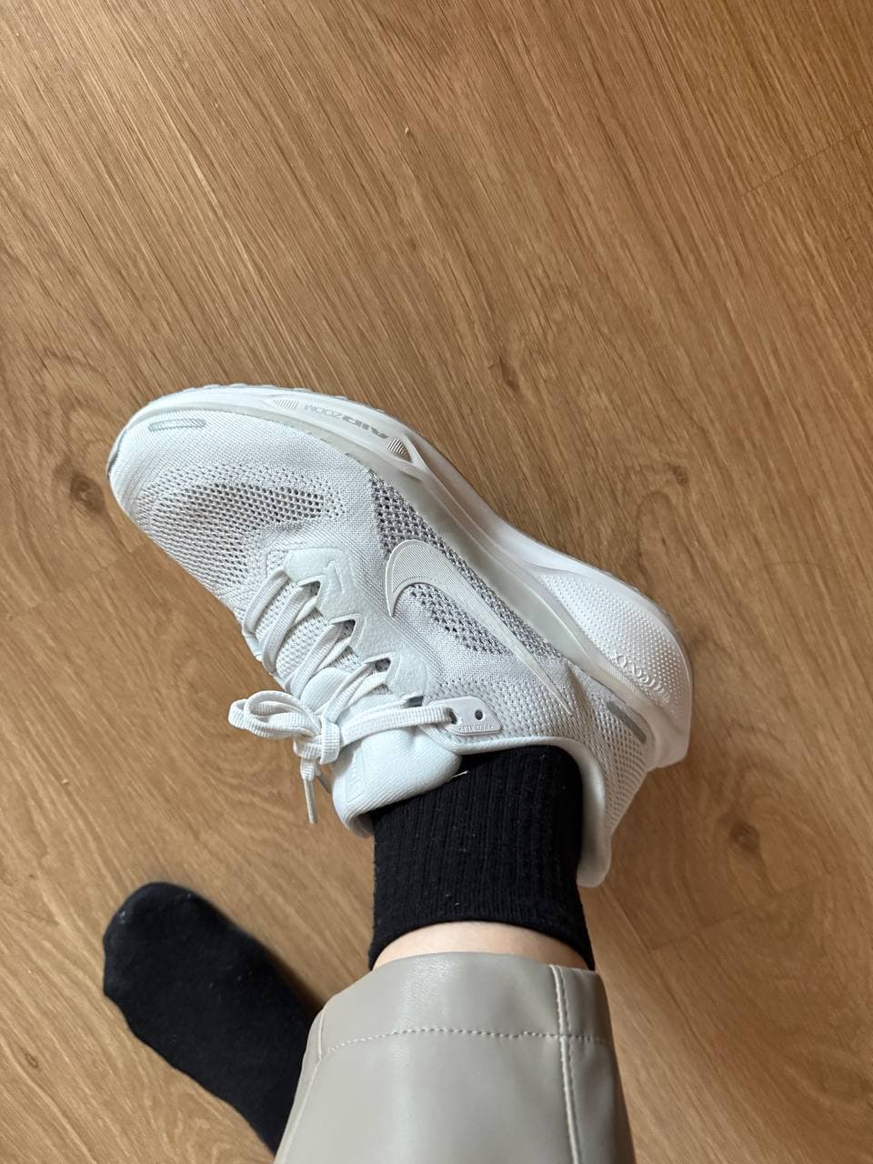 Pegasus 41