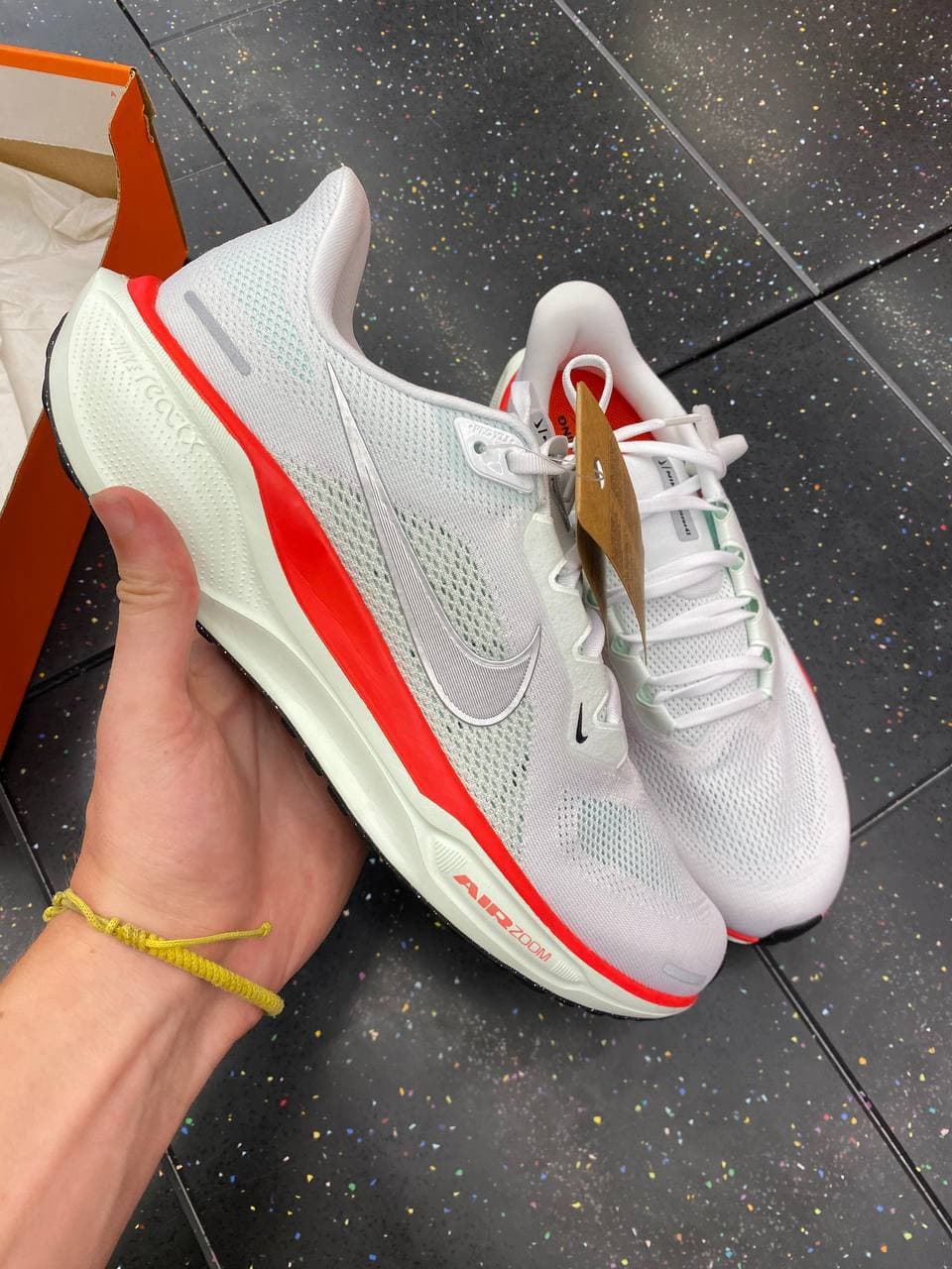Pegasus41