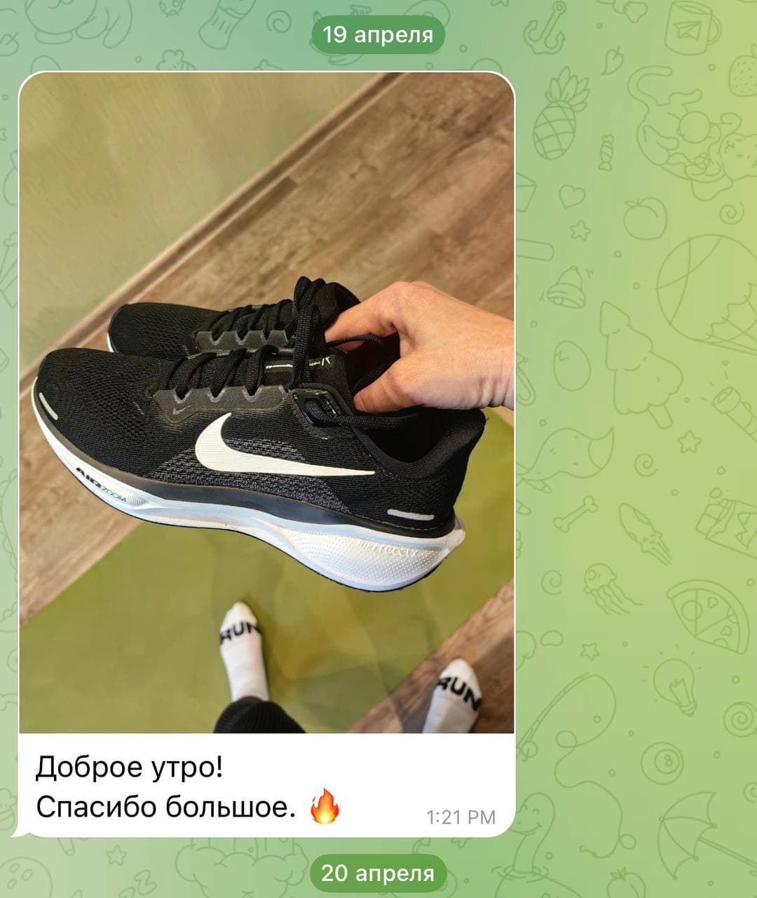 Pegasus 41