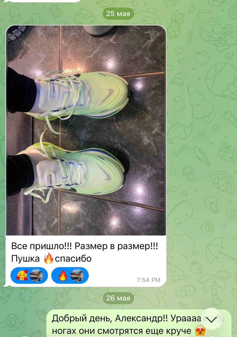 Pegasus Premium