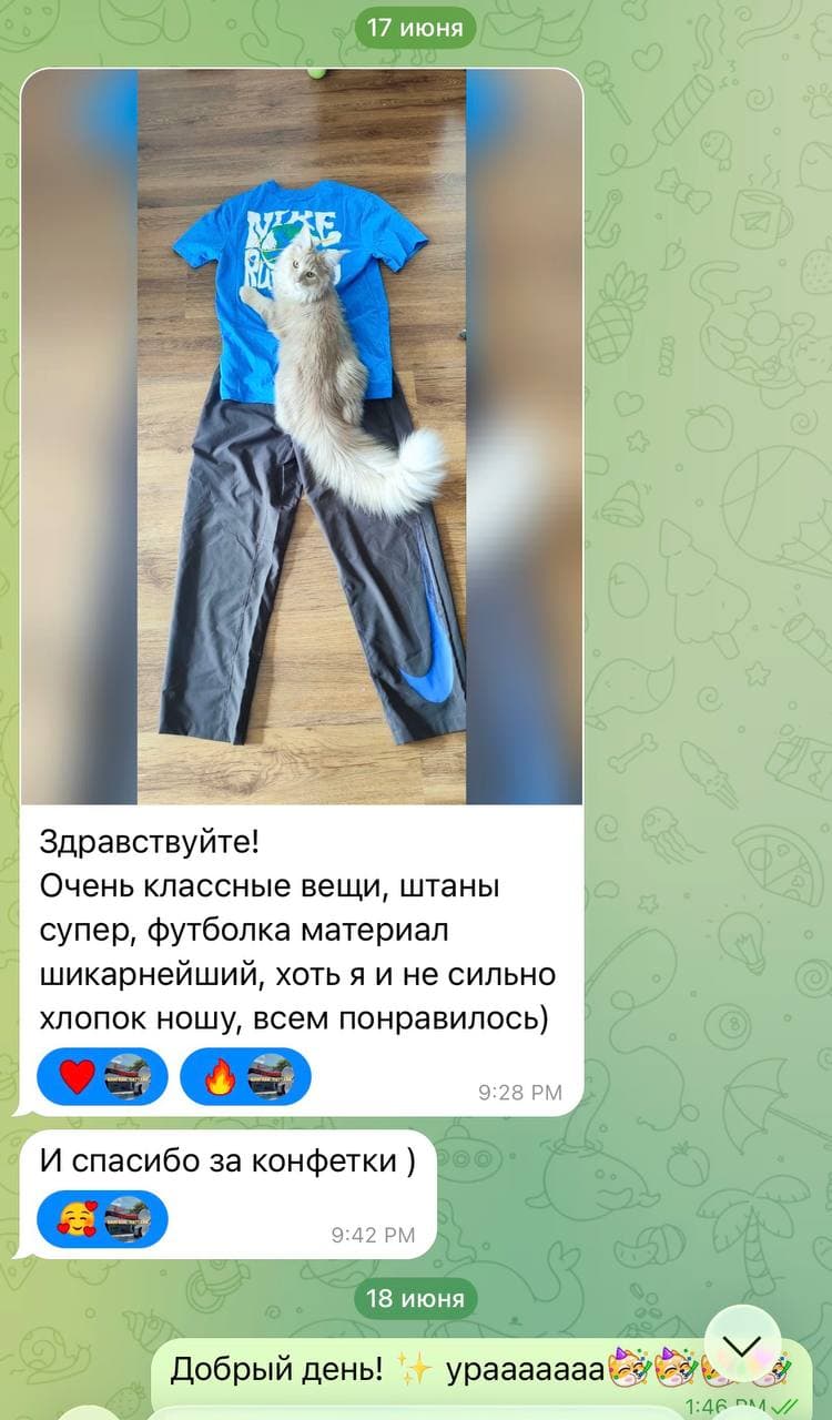 История
