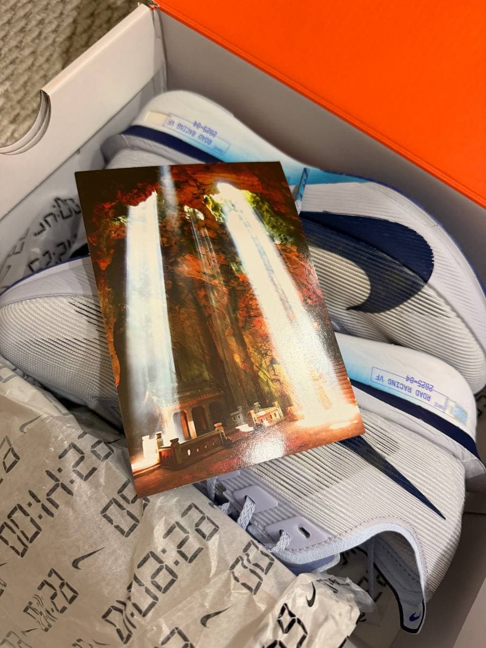 Pegasus 41