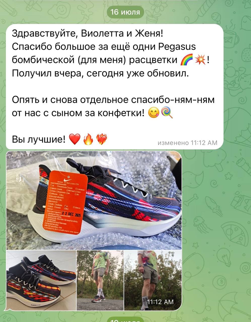Pegasus 41