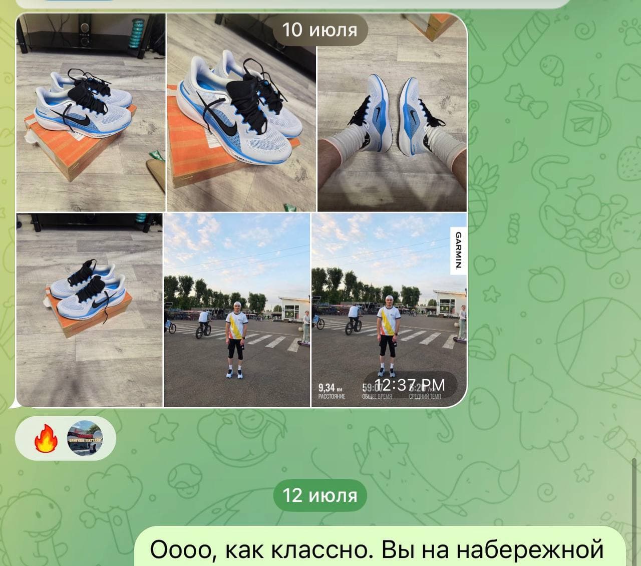 Pegasus 41