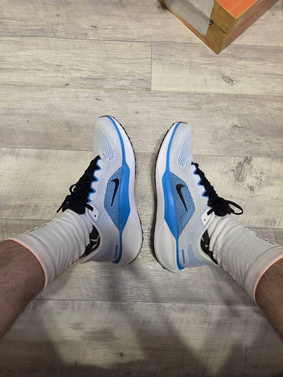Pegasus 41